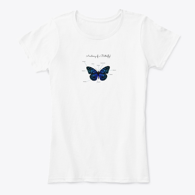 Anatomy Of A Butterfly