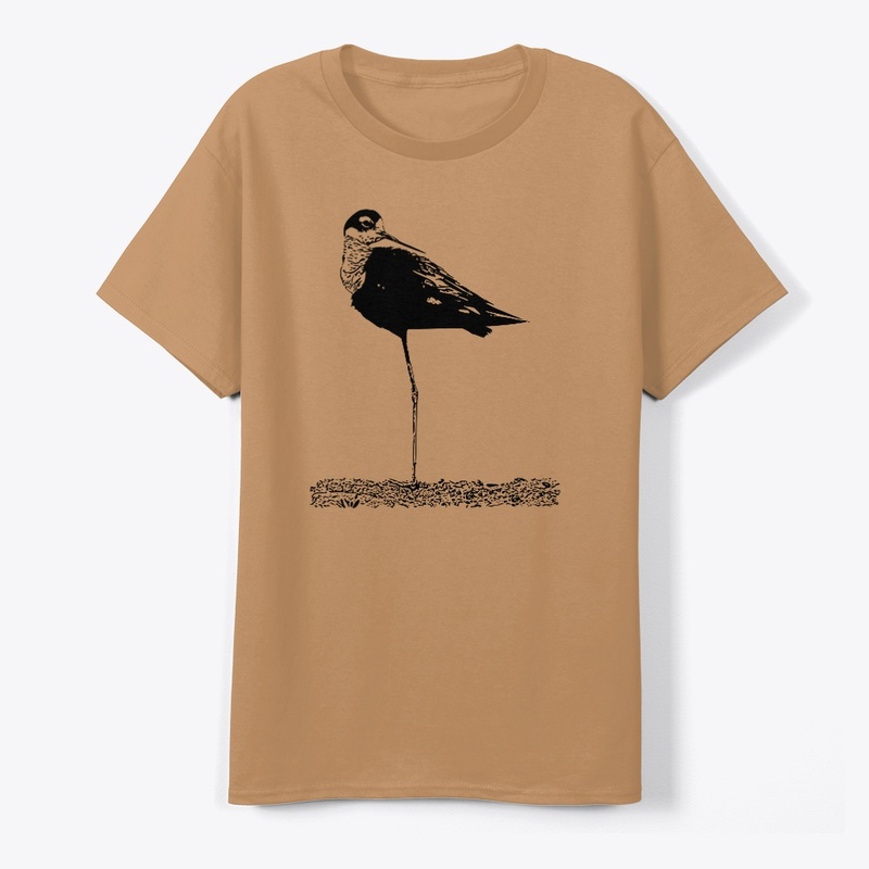 Black-necked Stilt