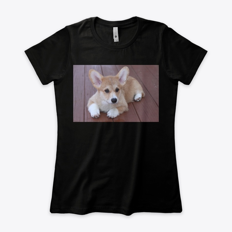 Corgi Lovers Best Design 