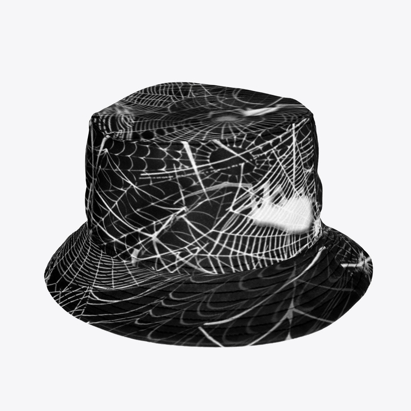 Black and White Spider Webs