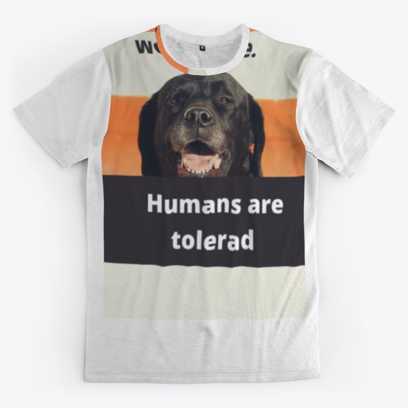 Dogs are welcome.