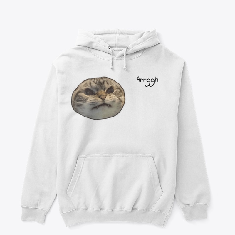 Angry cat