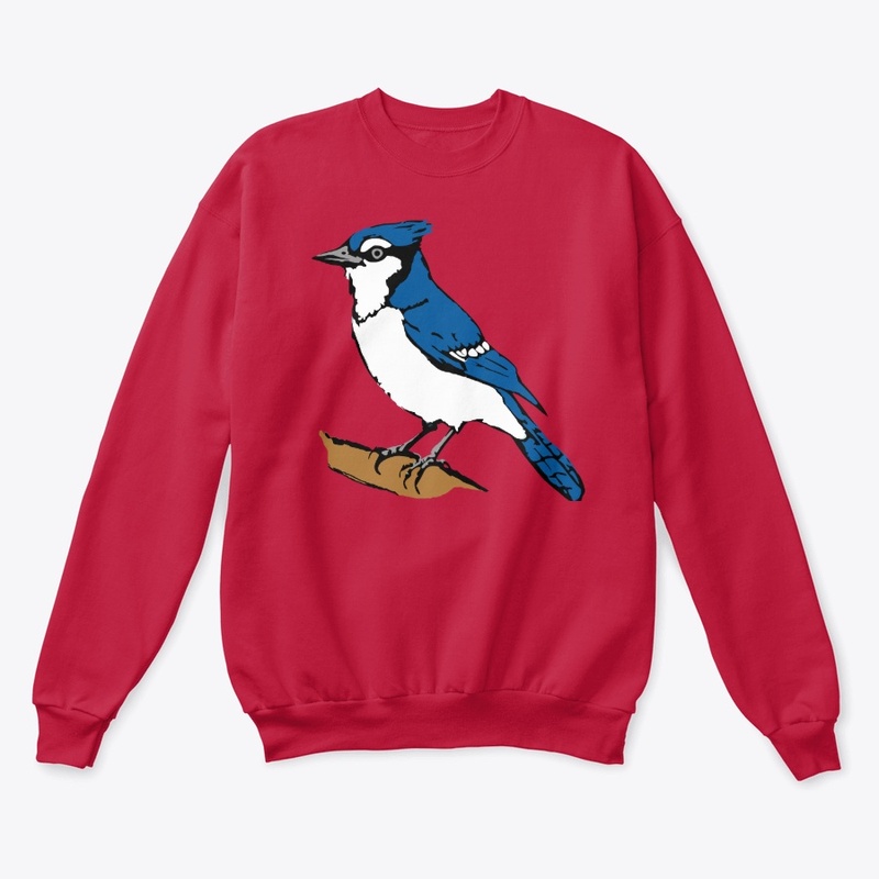 Blue Jay bird on a branch 