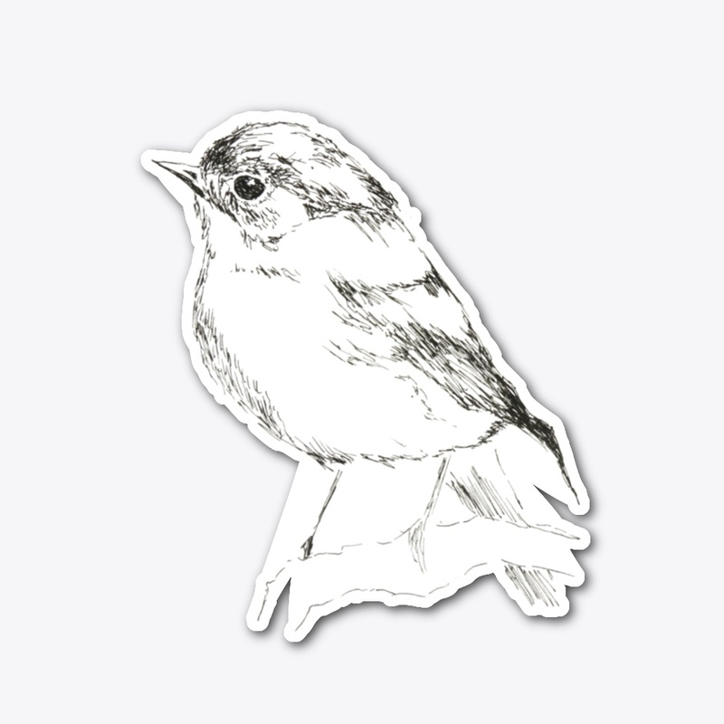 Wren Sketch