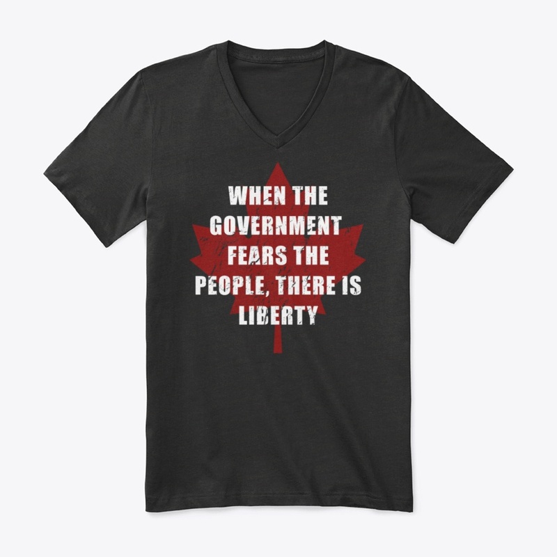 "There Is Liberty" - Elect Conservatives