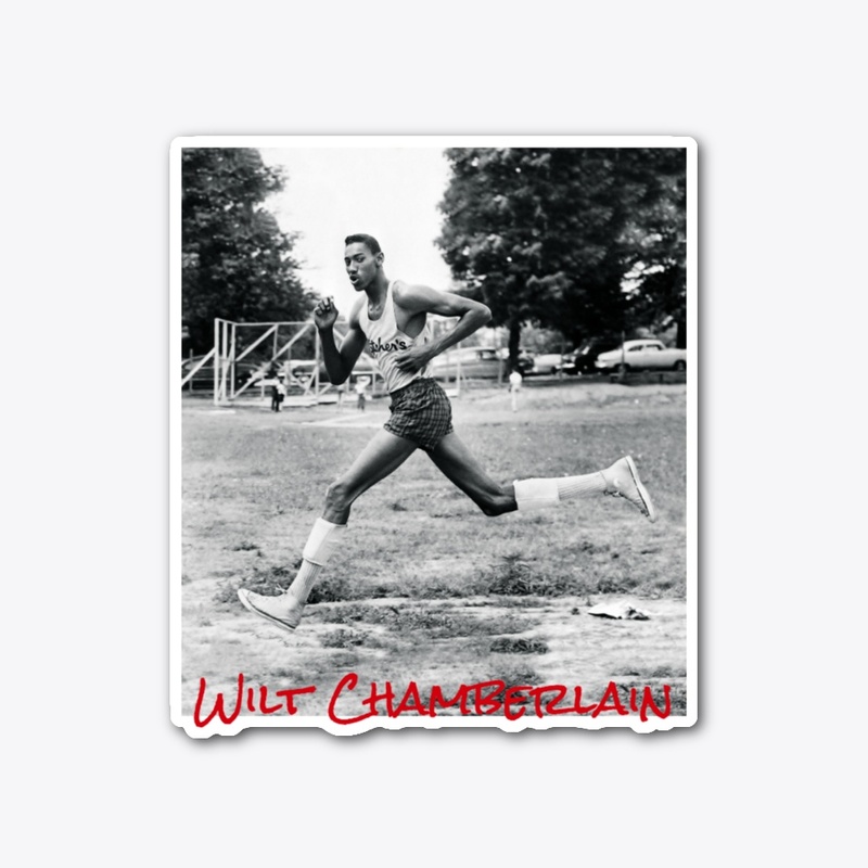 Everyday Ecofriendly Hoodie & Things