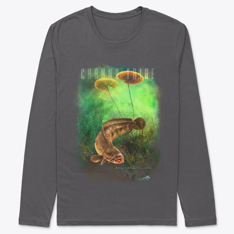 Snakehead - Channa Tribe