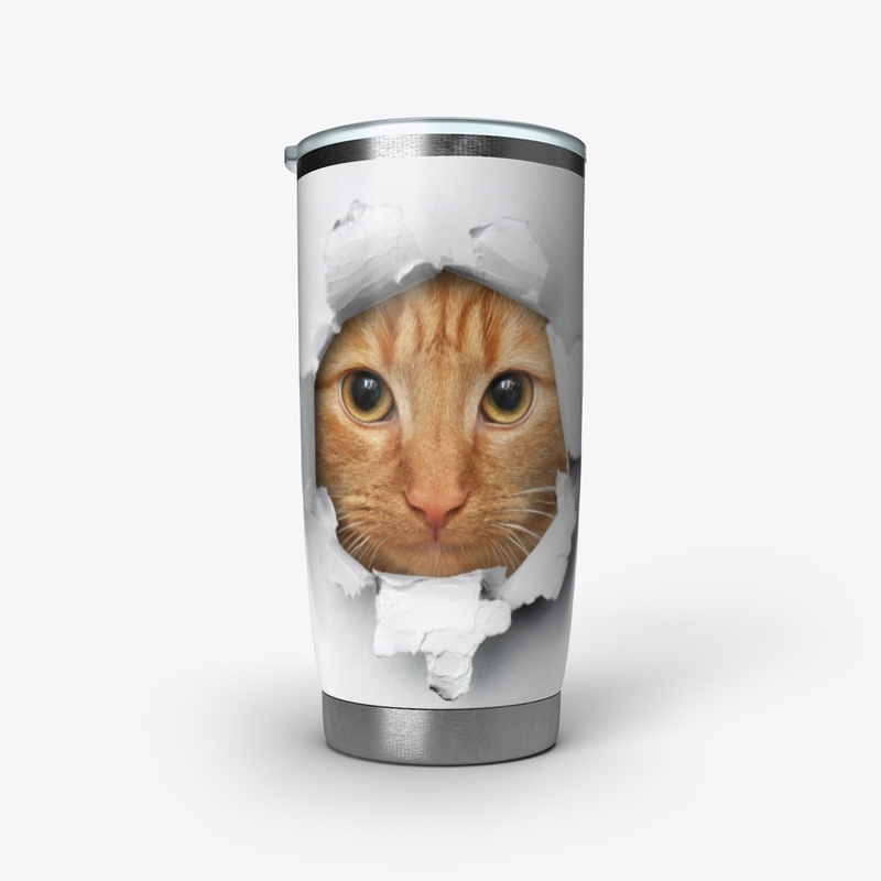 Funny cat face