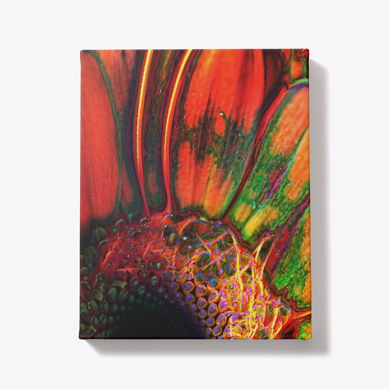 Abstract Orange Daisy