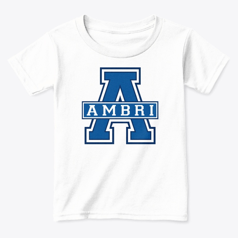Ambri-Hoodies