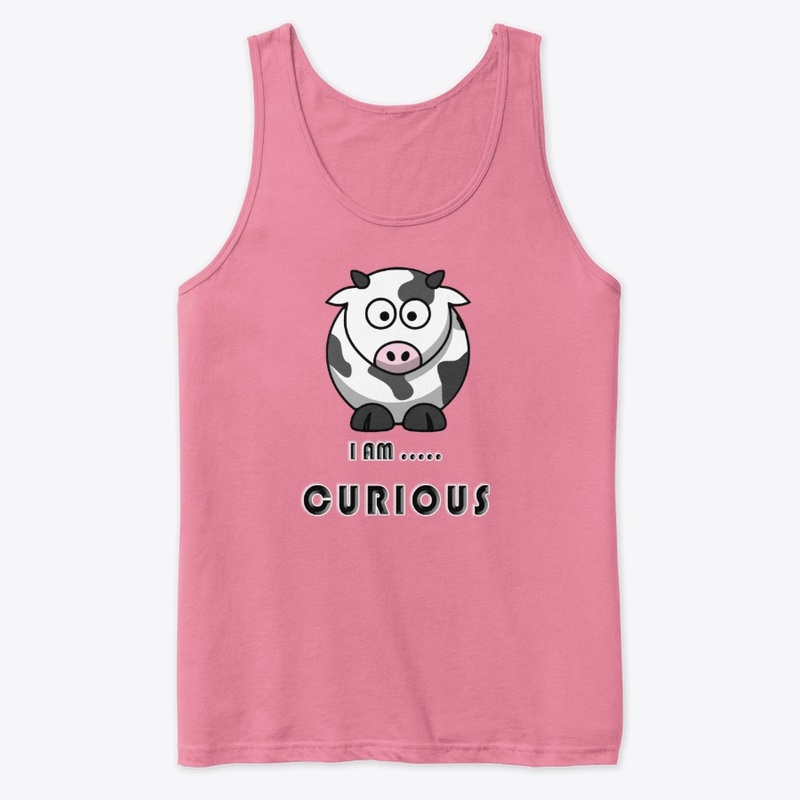 I am curious -Cute pig
