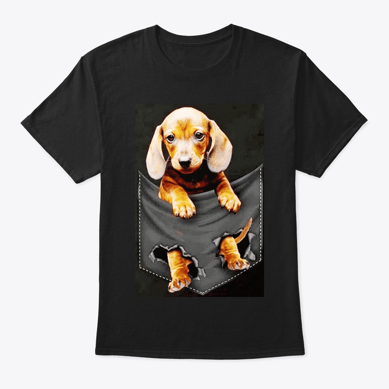 "Carry Your Furry Friend Everywhere"