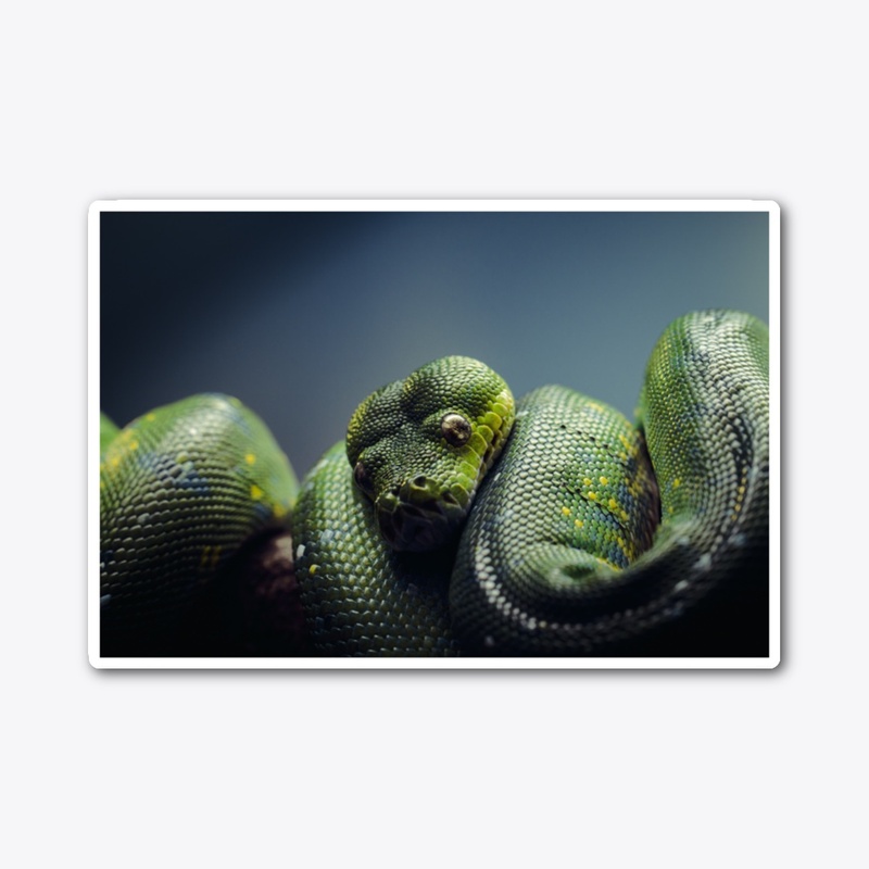 Reptillian 1