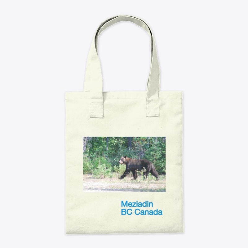 grizzly bear 