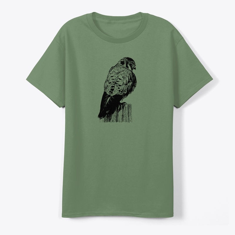 American Kestrel Birdwatching