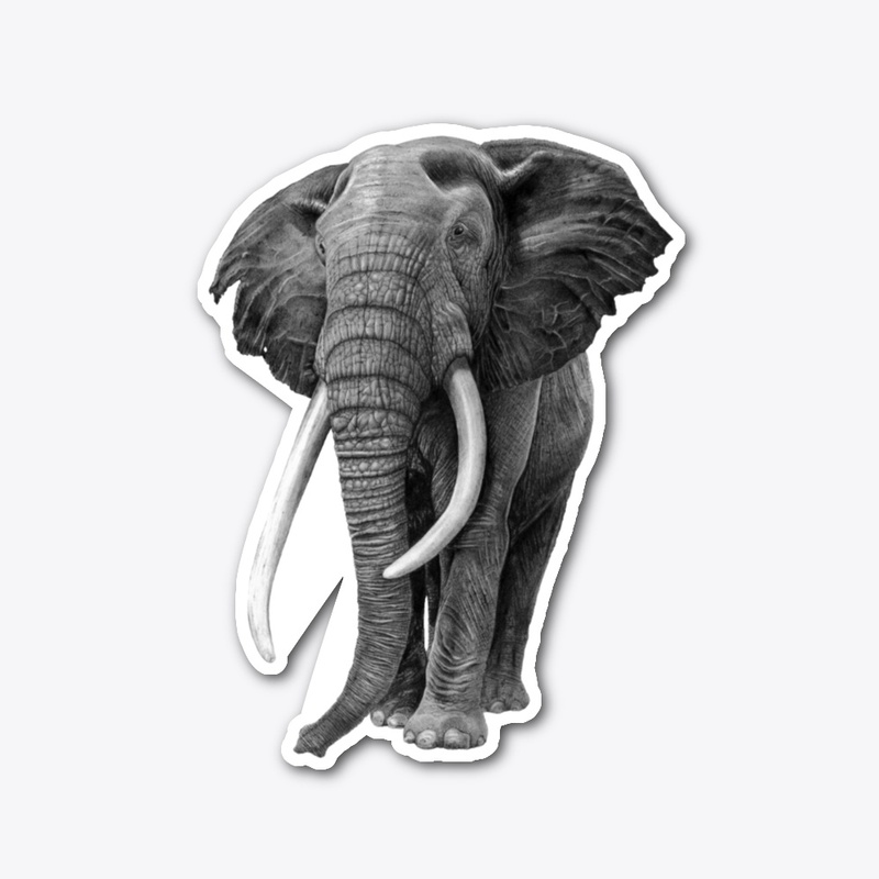 Bull elephant - Drawing In Pencil