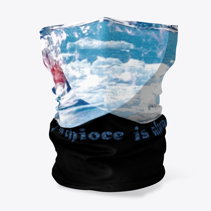 The Artic