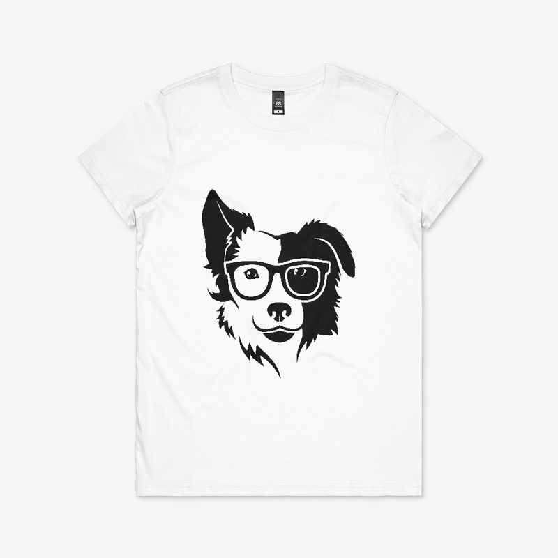 Border collie2
