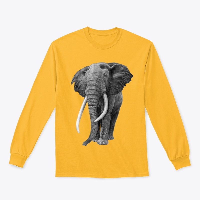 Bull elephant - Drawing In Pencil