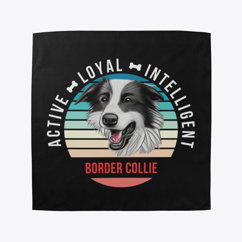Border Collie - Active, Loyal