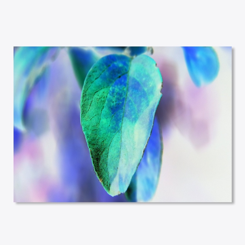 blue green leaf macro