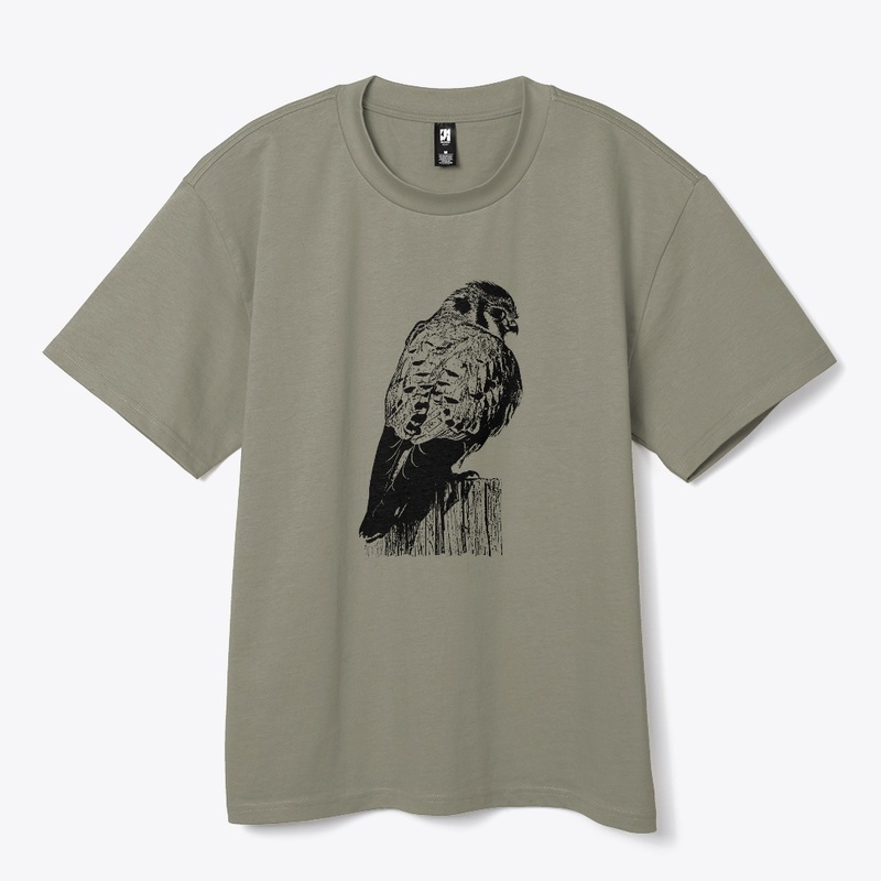 American Kestrel Birdwatching