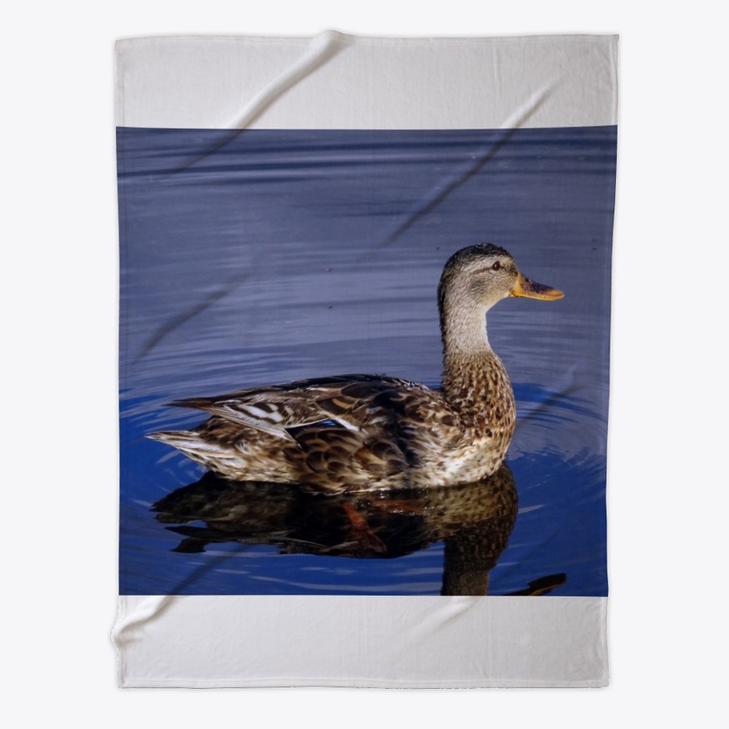 There was only a duck on the lake...