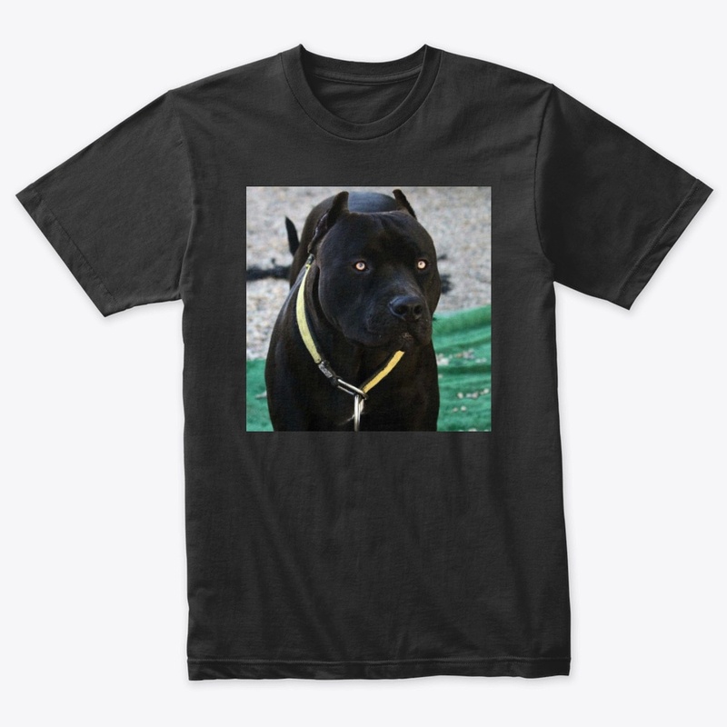 Pitbulls Black