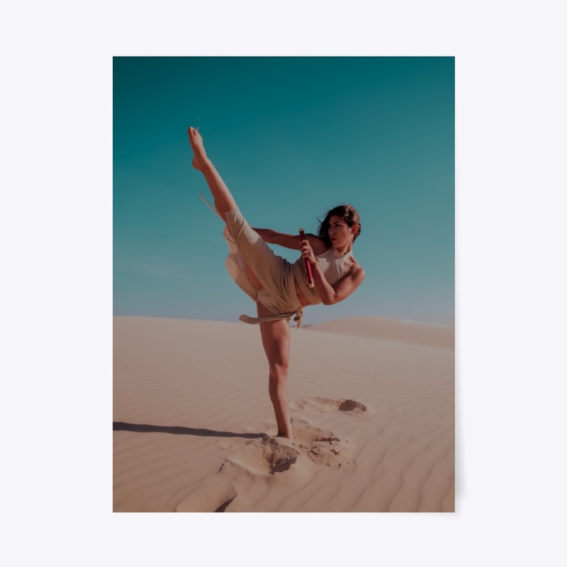 Desert Fighter 