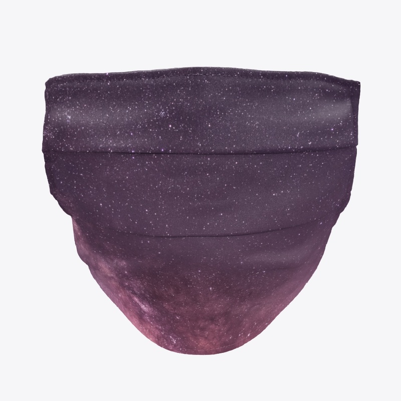 1 Million Stars in the Milky Way Galaxy