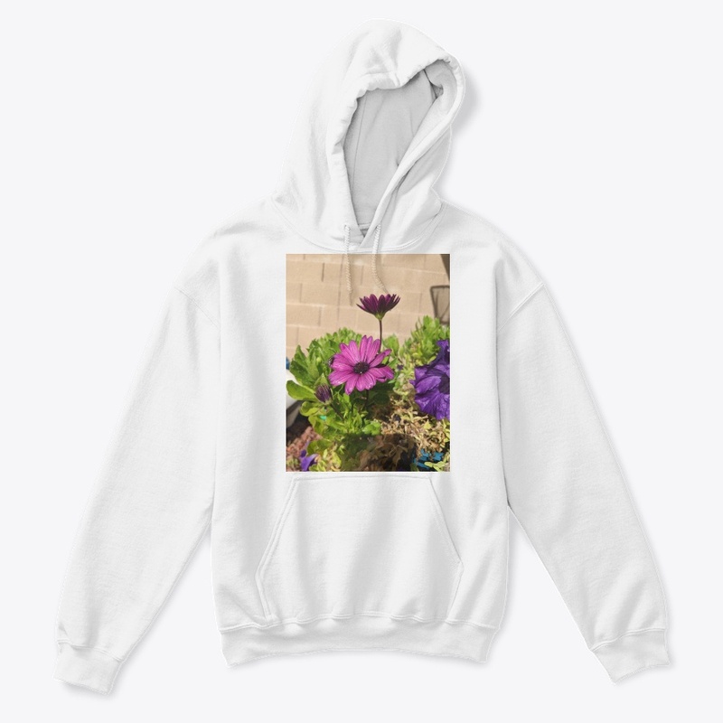 Purple daisy