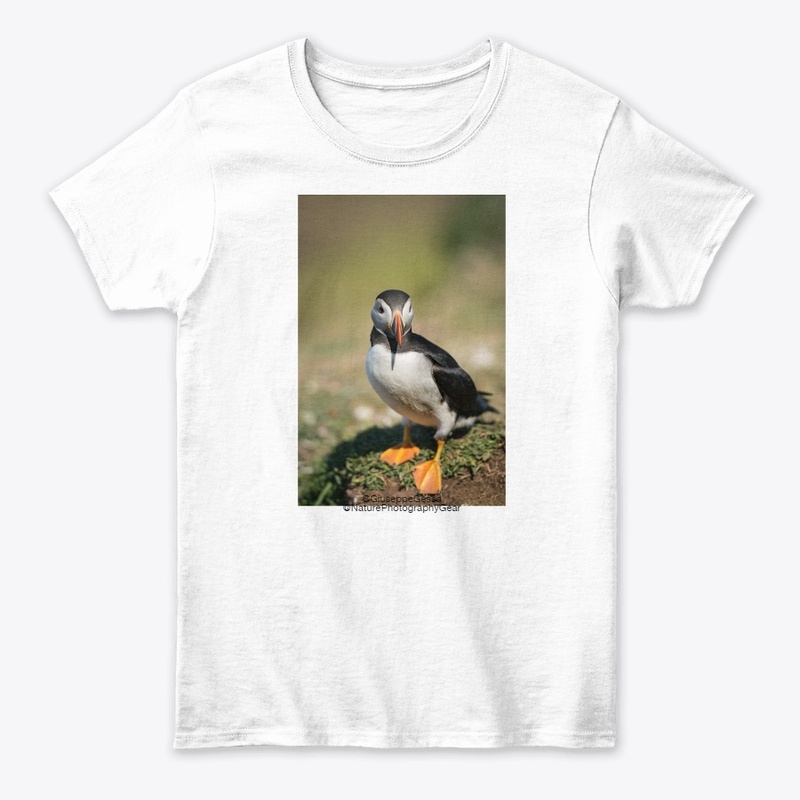 Puffin