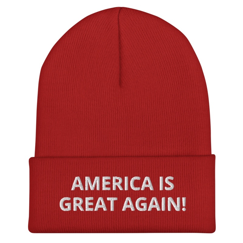 America Is Great Again! - Beanie