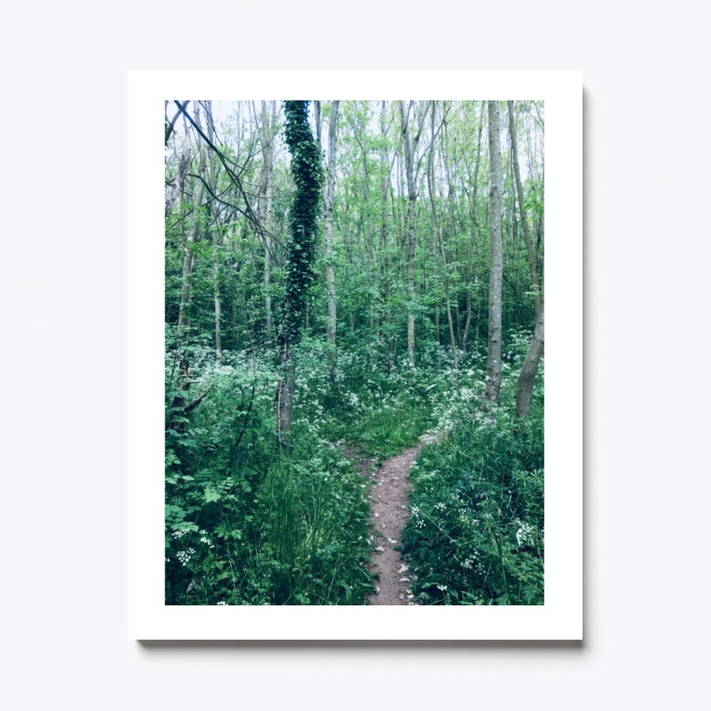Woodland walkway