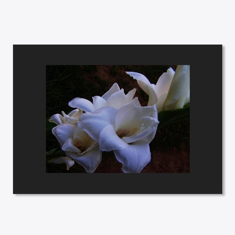 white flowers 2