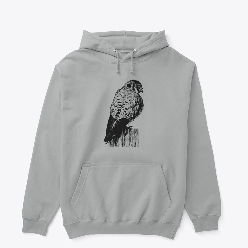 American Kestrel Birdwatching