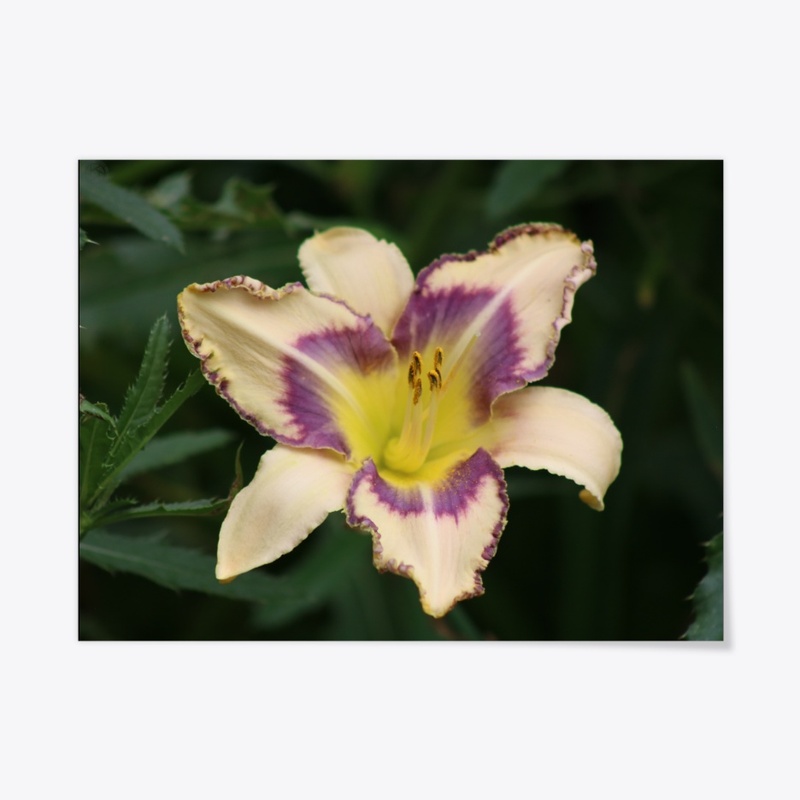 Flower 8