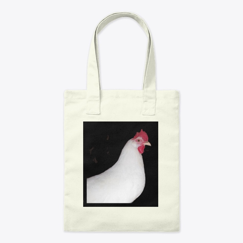 white leghorn hen chicken farm animal
