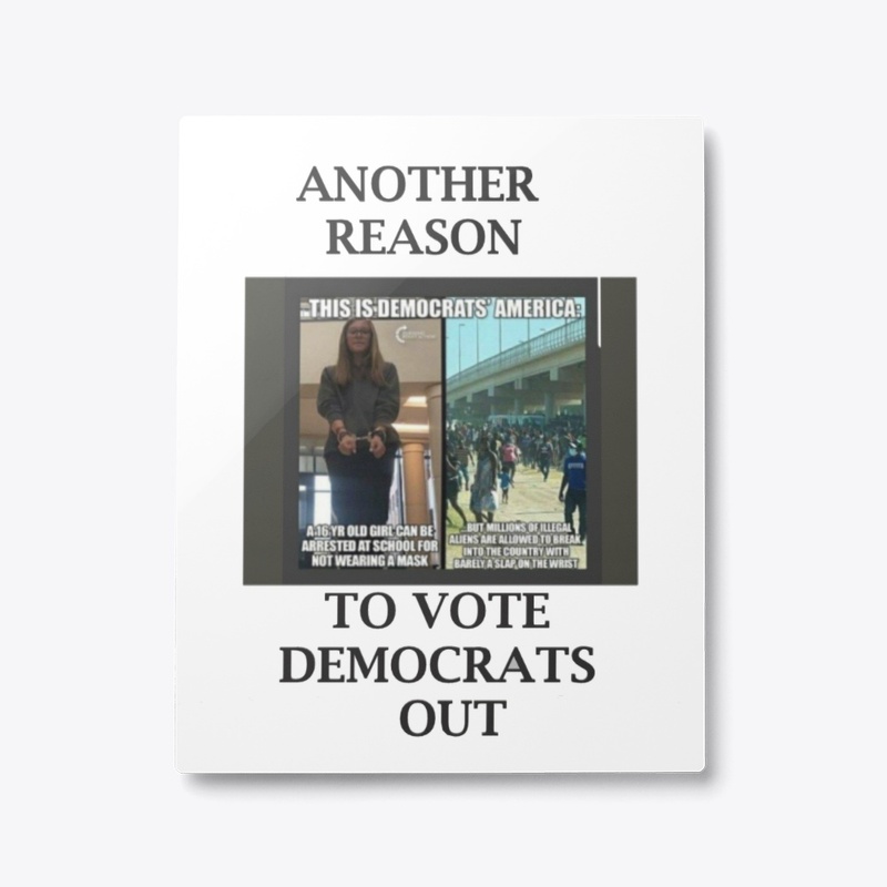 REason 3.1 to vote Dems out