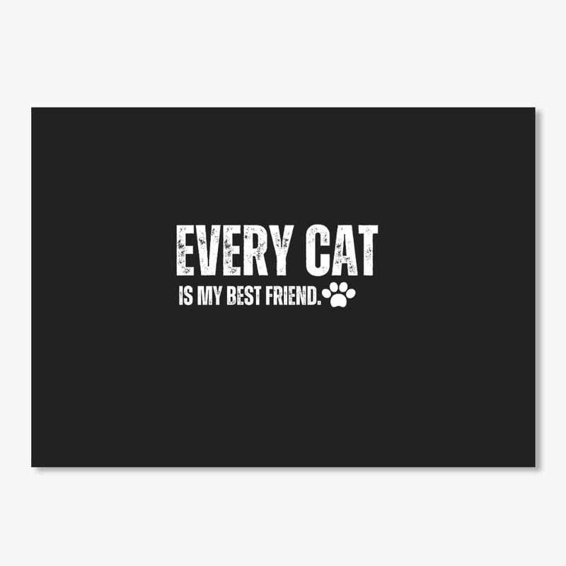Every cat is my best friend.