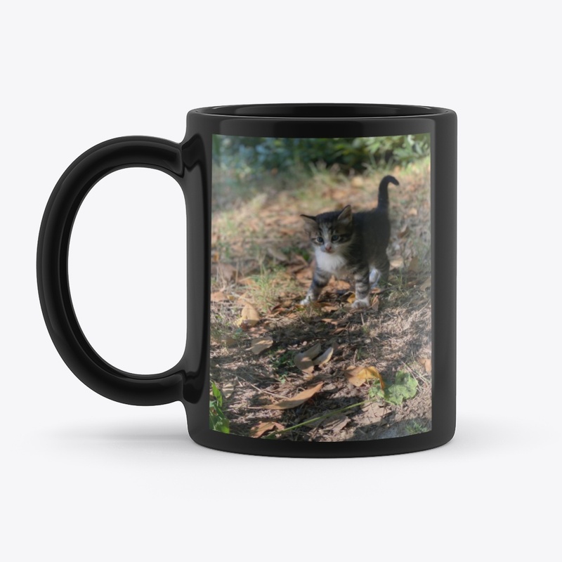 Tazza con immagini gatti