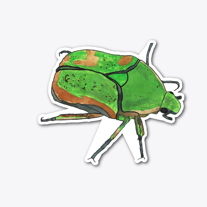 Emerald Euphoria Beetle