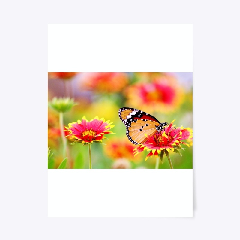 natural picture poster
