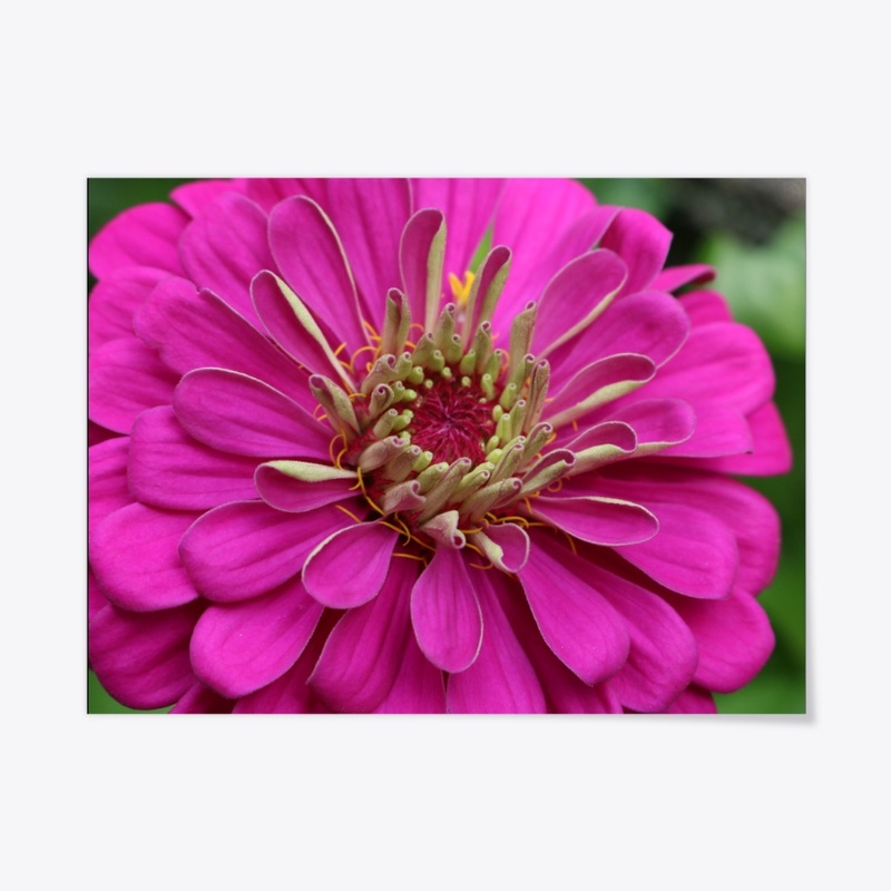 Flower 15