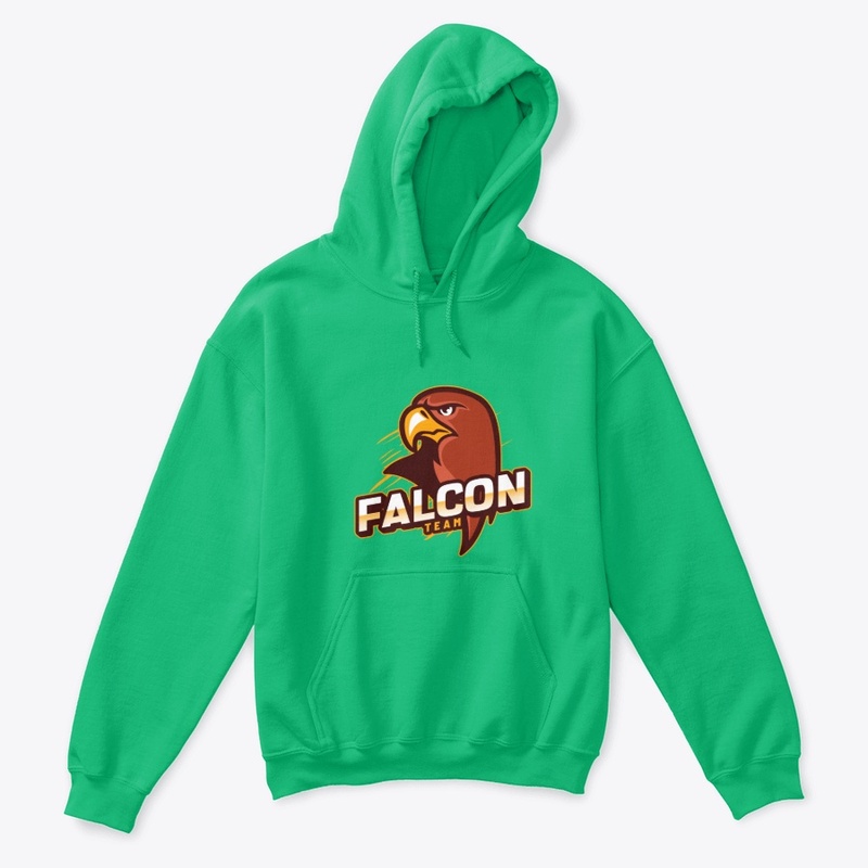 Team Falcon2