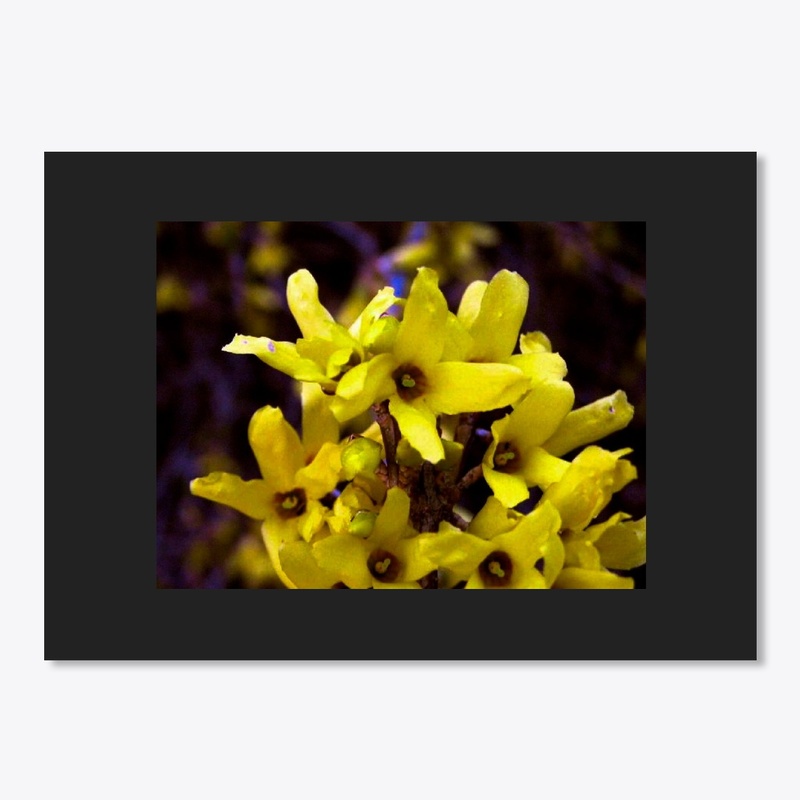small yellow flower