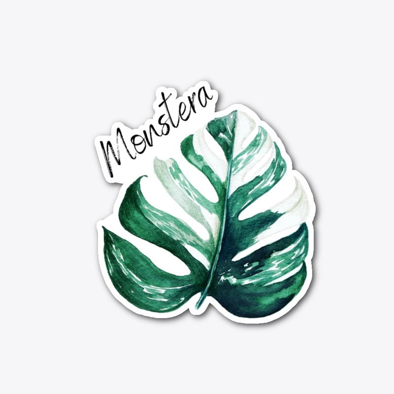 Variegated Monstera Leaf