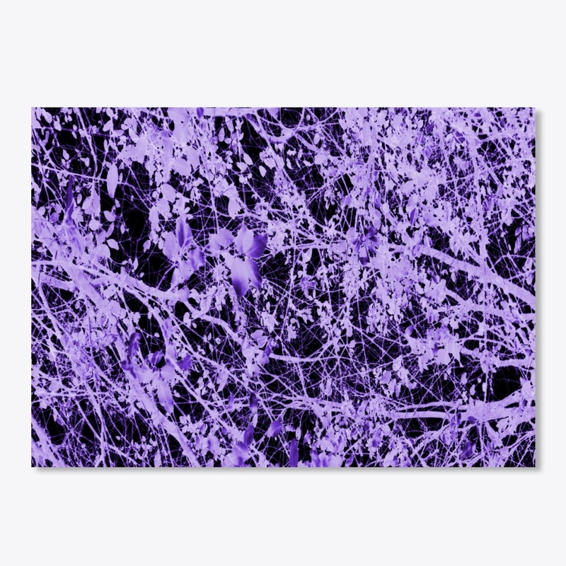 purple leaves