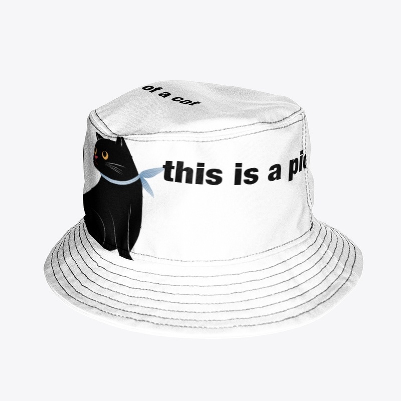 for cat in the world