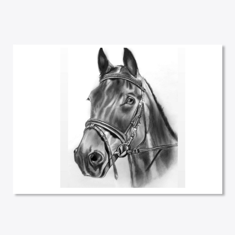 Horse- sketch